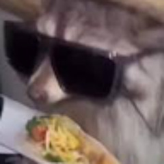 us djfeifbwlajfiebgbe-fbelf