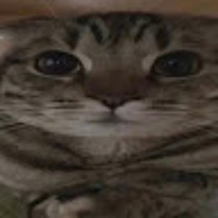 slibidijdjshs