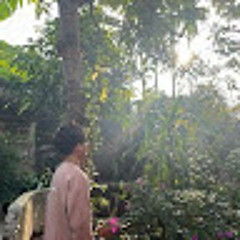 Phạm Duy khang