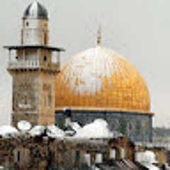 taqwa ihmedan