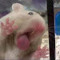 황인우