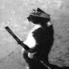 Sebastián gallego