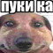 Денис Волосевич