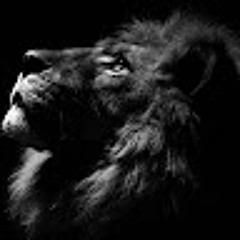 King Lion