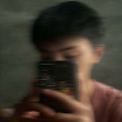 STEM D DECISIVENESS L.