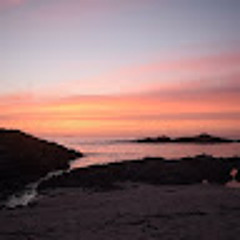 Tiree Hercher
