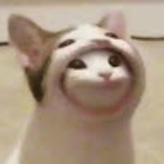 Zy