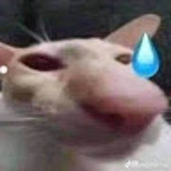 Kk Kk