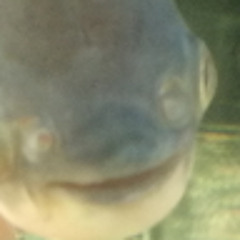 Кузьмук Татьяна