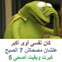 Mahmoud Sobhy