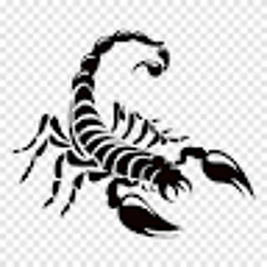 مشعل العنزي