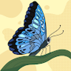 Delgertuya17