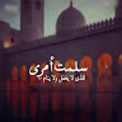 User 486851545