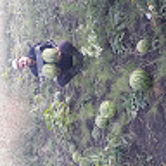 село та все інше