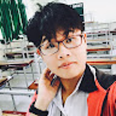 sulminzz