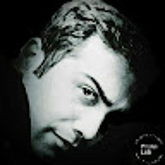 shayan nikpour