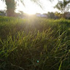 Haider alsaada