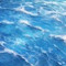 Aquaticism