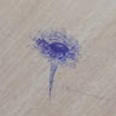 софья третьякова