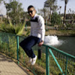 Mahmoud Elkholy