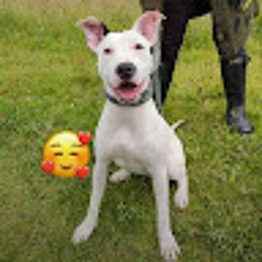 ꧁Simp Llora bb꧂ (꧁Sp꧂)