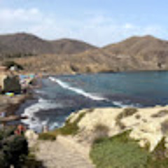 Marita C