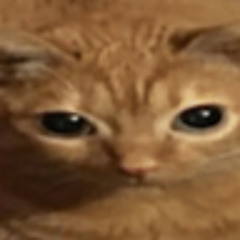 Maxxo