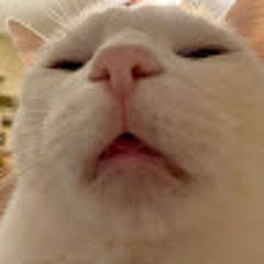 Lê Đình Tuấn Minh