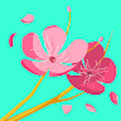 soolgirl