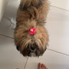 Juzinho Cauazin