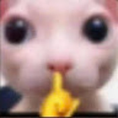 Huy Lê