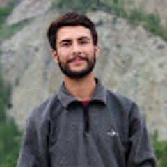 Faisal Karim