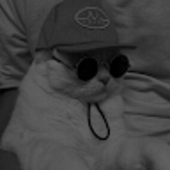 UnbelievableCat