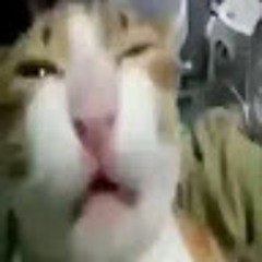 kidlol _