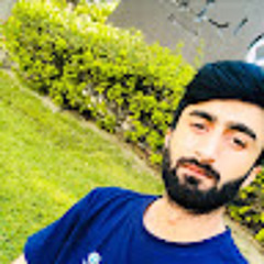 Shamakhailhaseeb@gmail.com