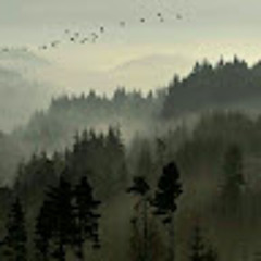 Via Amel