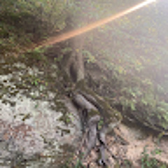 Usergee782063121