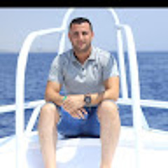 Mohamed Elsheshtawi