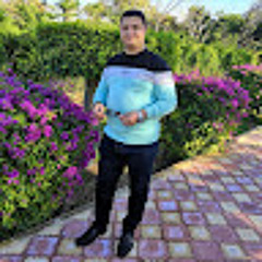 hassan salem
