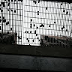 Jacob Heasler