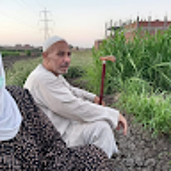 محمد مصطفى