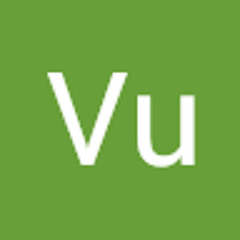 Vu Than