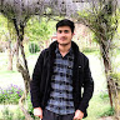Kamran Wani