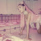 7 Rings