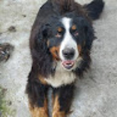 Петр Хмарный