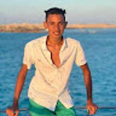 ahmed Abualghet