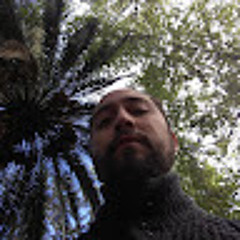 Manuel González Hernández