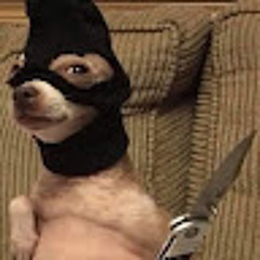 Alexandersuhendy8