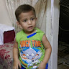 amir Boshra277