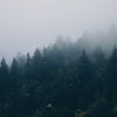 Synevyr
